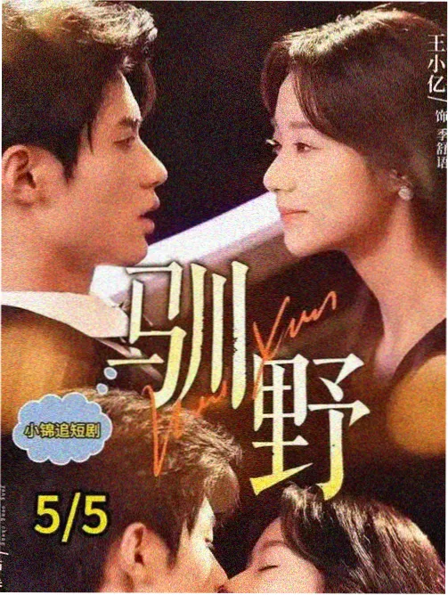 av动漫《猫町旧书店》店内书架剧照